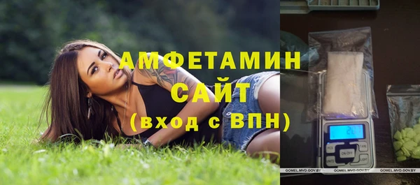 крисы Няндома