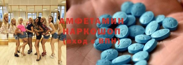 крисы Няндома