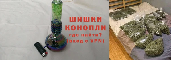 крисы Няндома