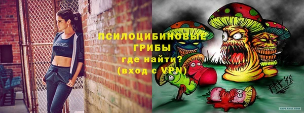 крисы Няндома
