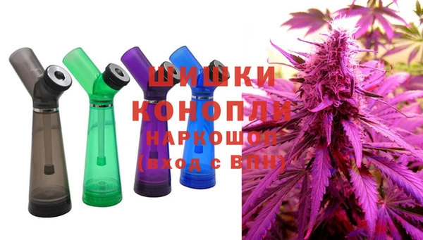крисы Няндома