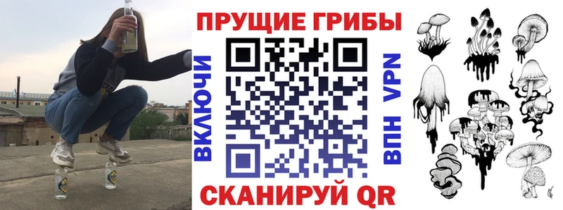 Галлюциногенные грибы Psilocybine cubensis  гидра ССЫЛКА  Сертолово 